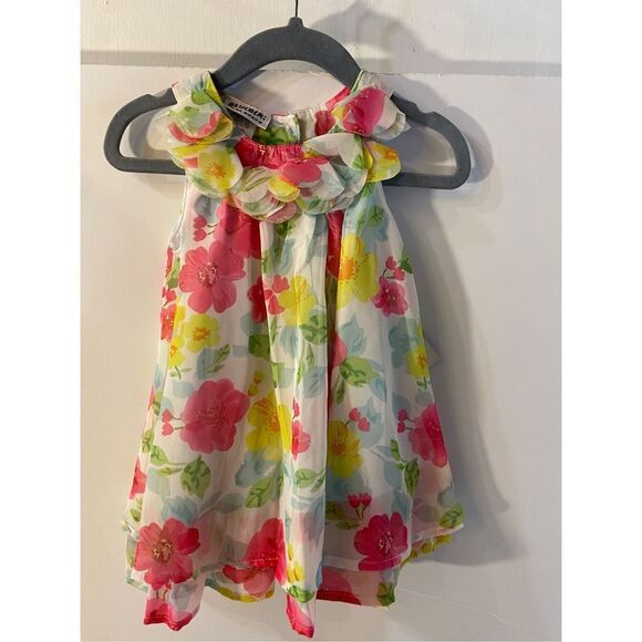 Blueberi boulevard dress 18m flowers ruffles rn#103572 - Picture 1 of 5